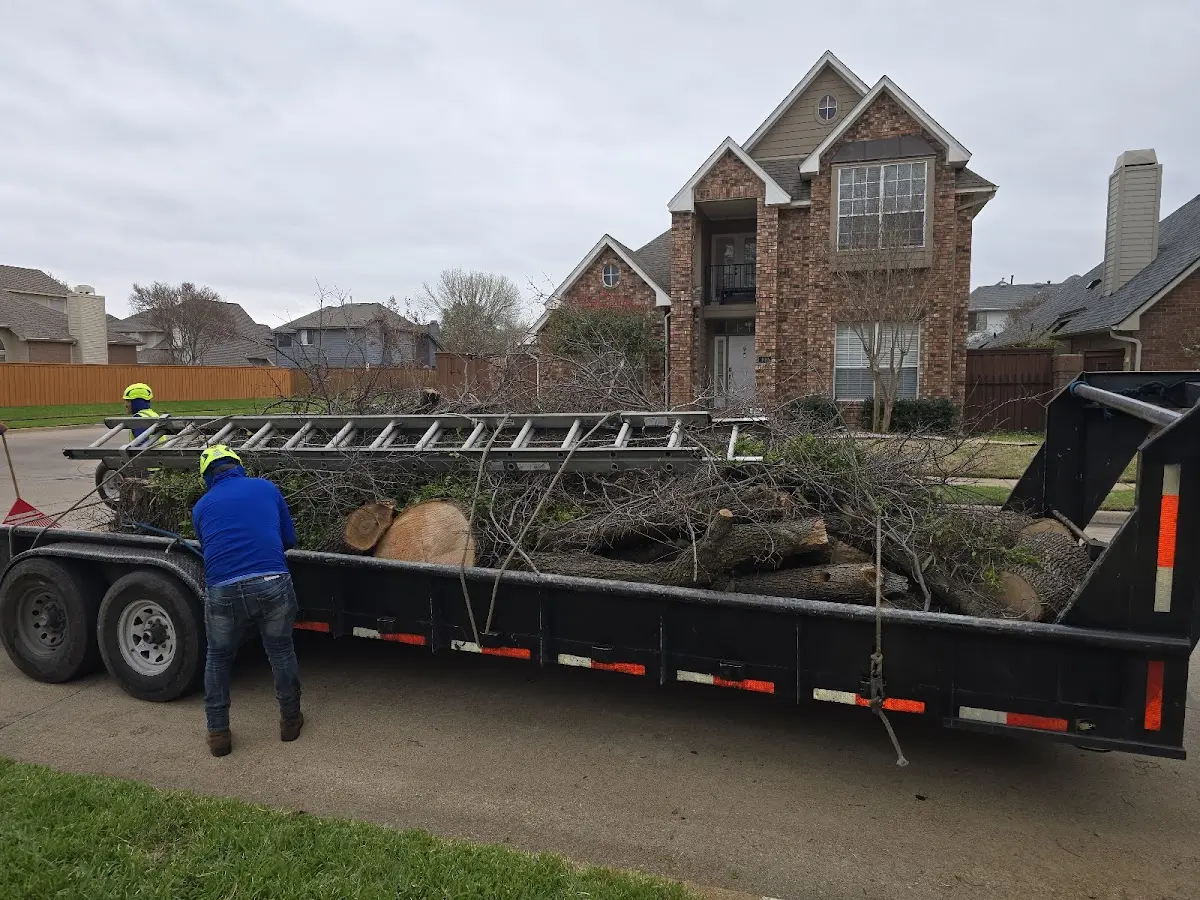 Expert Tree Pest Control with proper safety equipment in Hubert